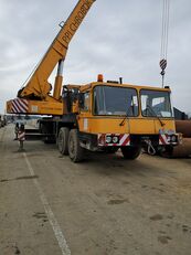 شاحنة رافعة HYDROS T351